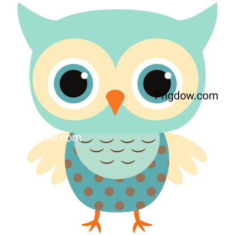 Cute and Small Owl transparent background