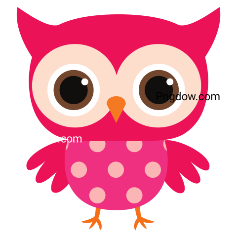 Pink Owl transparent background