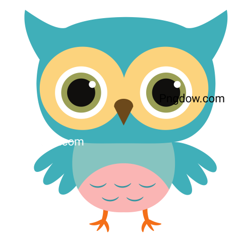 Blue Owl Cartoon transparent background, free - Photo #10953 - Pngdow ...