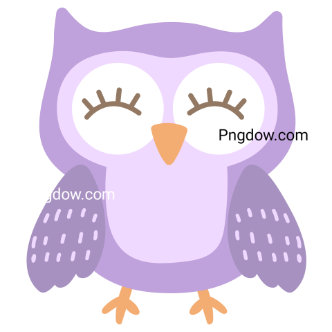 Owl cute cartoon transparent background, free