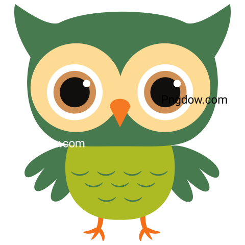 Cute Owl Icon transparent background
