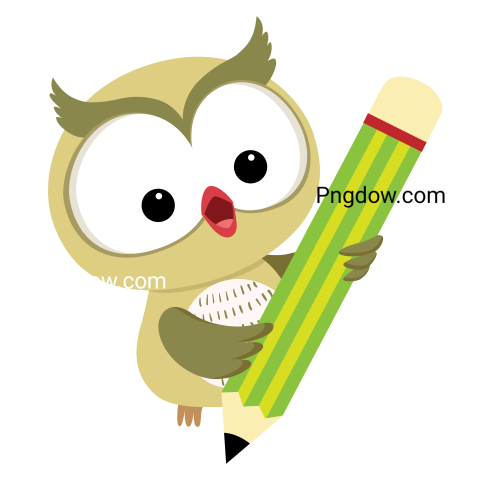 Owl Cartoon with Pencil transparent background