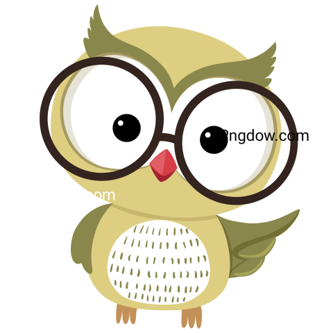 Cartoon Owl Mascot transparent background