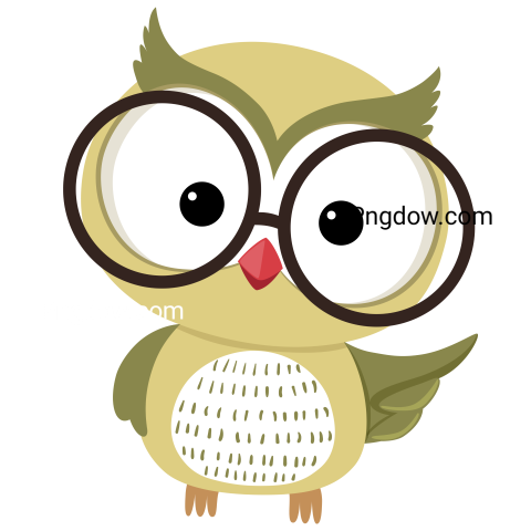 Cartoon Owl Mascot transparent background - Photo #10956 - Pngdow ...