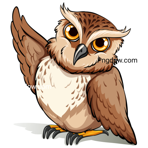 An Owl transparent background image for Free