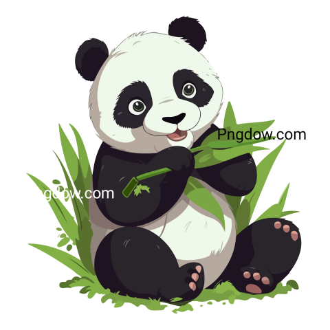 Panda eat bamboo transparent background