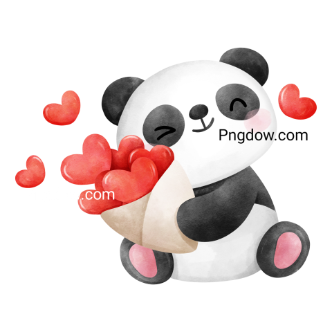 Baby panda valentine transparent background