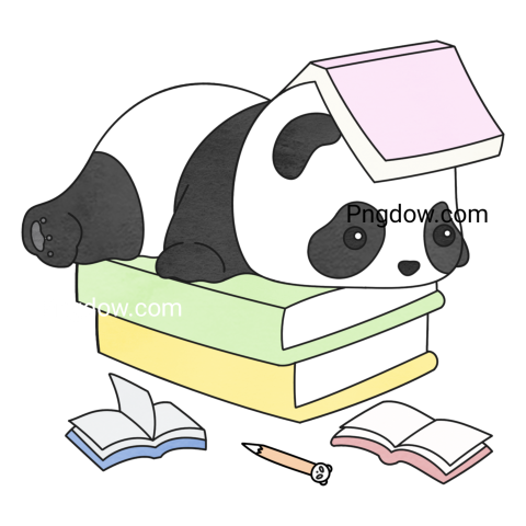 Panda transparent background image for Free
