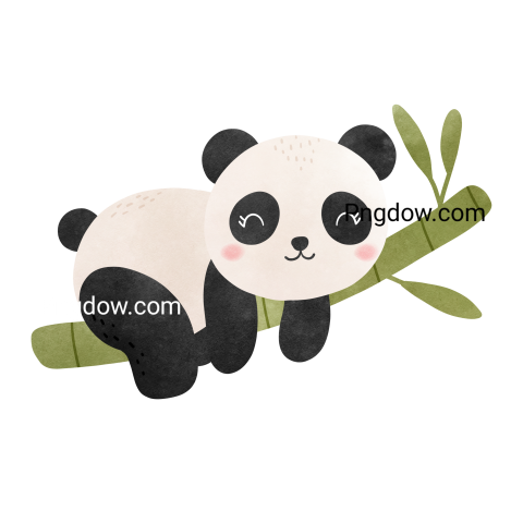 Cute panda transparent background, Free