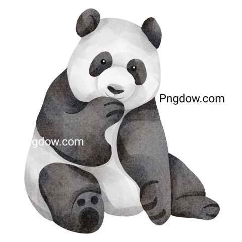 Watercolor panda transparent background