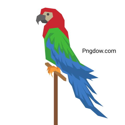 Parrot Png images