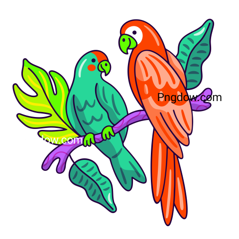 Nature parrots transparent background