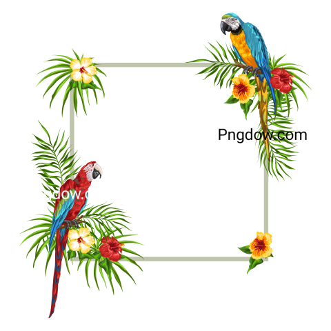 Tropical Frame with Parrots