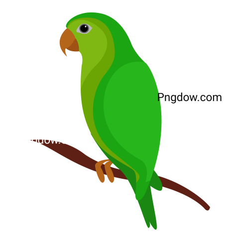 Green Parrot Illustration