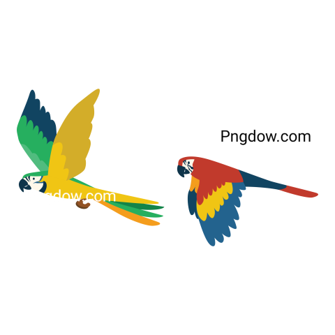 Cartoon parrots flying