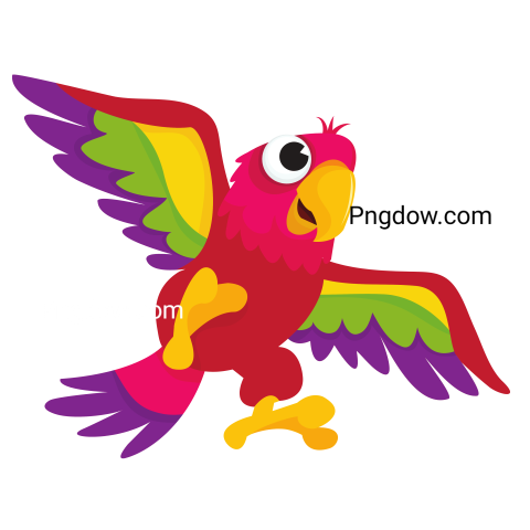Flying Parrot Illustration
