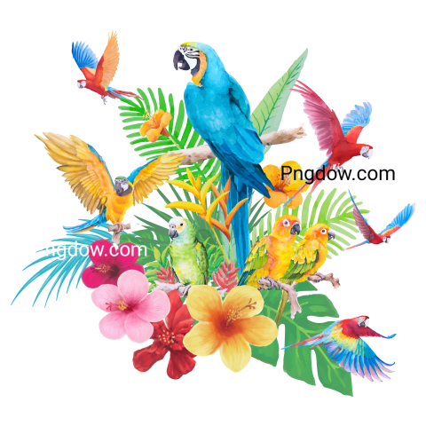 Parrot Macaw and Hibiscus Paradise Flower