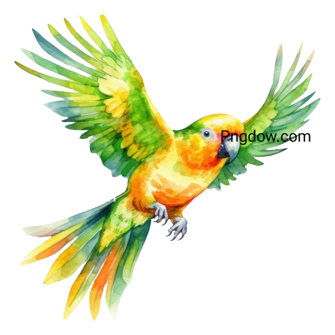 Parrot Bird Watercolor Illustration