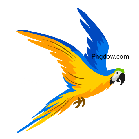 Illustration of Macaw Parrot Png images