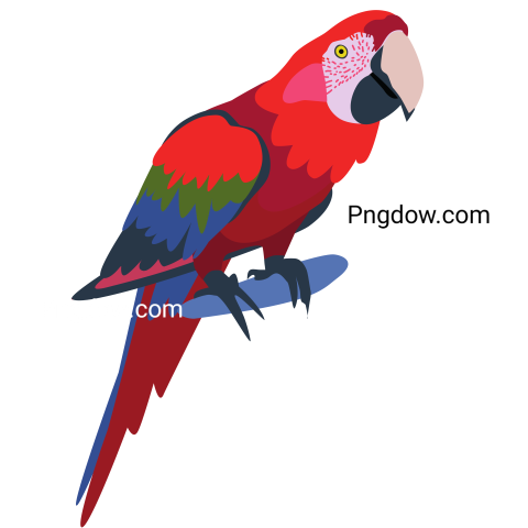 Ara Macaw Parrot
