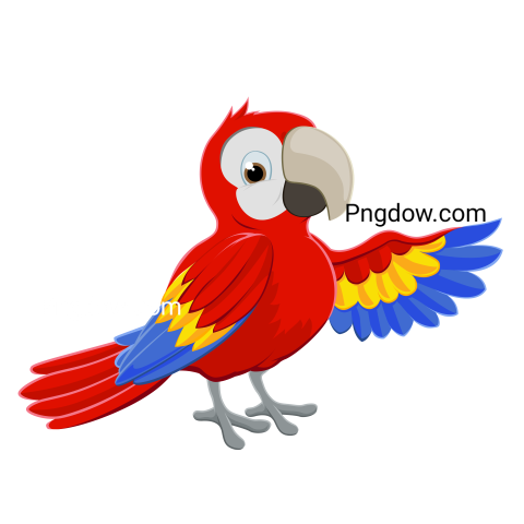 Cartoon Parrot png