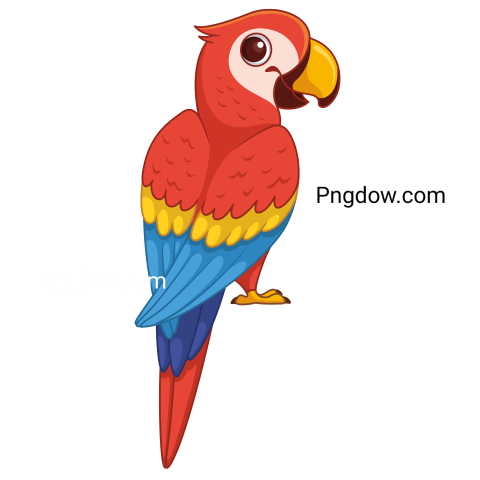 Scarlet Macaw Parrot Cartoon Illustration