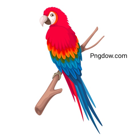 Parrot Macaw on Tree Branch