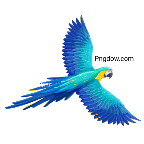 Vector Parrot Bird