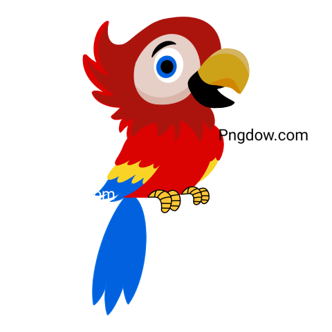 Cute Parrot transparent background