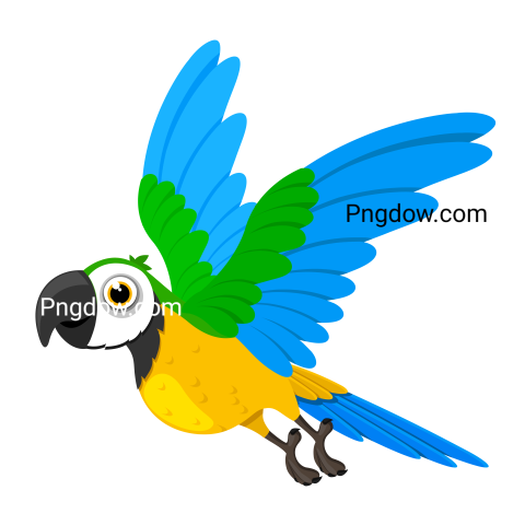 Colorful Parrot Illustration