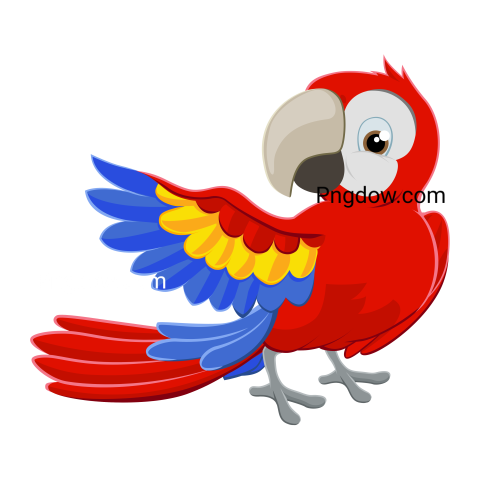 Parrot Cartoon transparent background