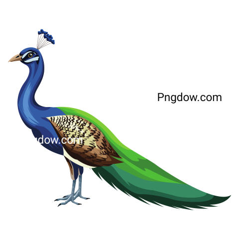 Peacock Bird Icon Cartoon Isolated for Free