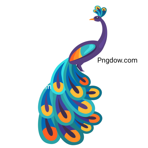 Peacock with Bright Feathers Isolated Illustration