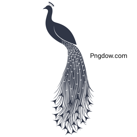 Isolated Peacock Logo for Free
