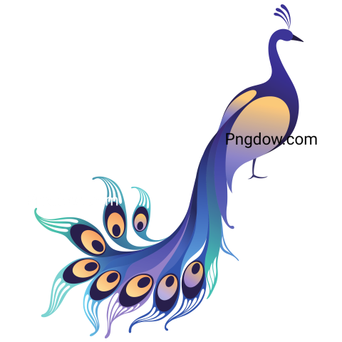 Abstract Peacock  Vector Illustration