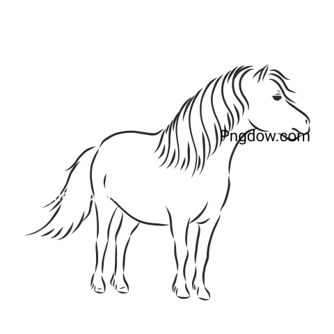 Pony Horse Vector Sketch