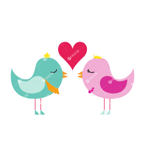 Lovebirds transparent background