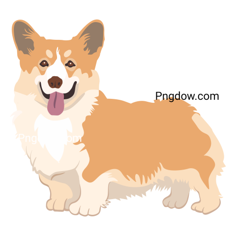 Cartoon dog Corgi flat icon  Happy pet vector illustration  Basenji, Dachshund, malamute, Samoyed  Mammals and animals concept