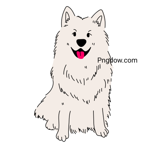 Samoyed dog breeds, transparent background