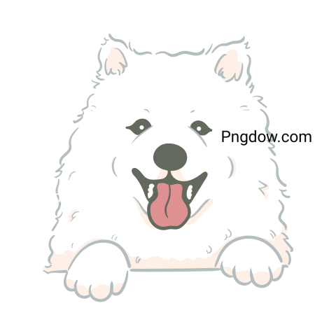 Samoyed Dog face Png for Free