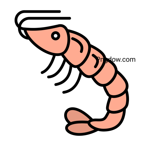 Shrimp Icon transparent background image