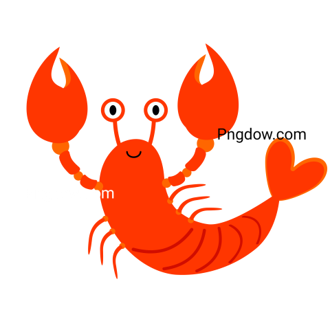 Shrimp Png images download