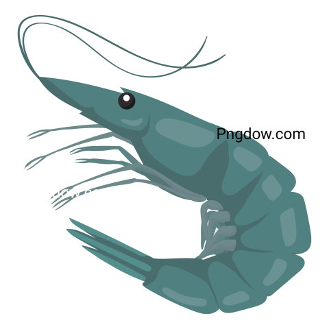 Live green shrimp icon  Shrimp cartoon illustration  Shrimp in wildlife, reserves, sea food
