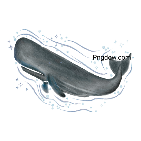 Gray Sperm Whale Watercolor Illustration