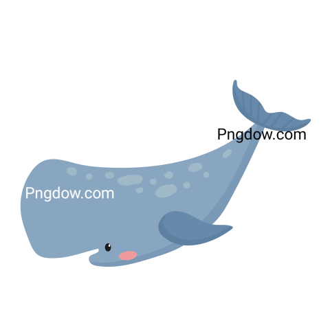 Sperm Whale Cartoon