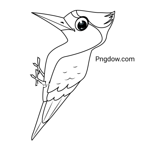 Bird Woodpecker Coloring Page Cartoon Illustration
