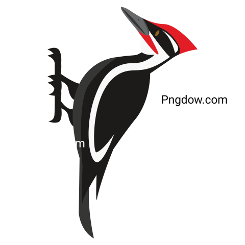 Cartoon Woodpecker