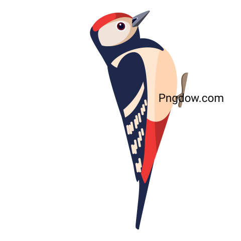 Woodpecker Cartoon Illustration, free