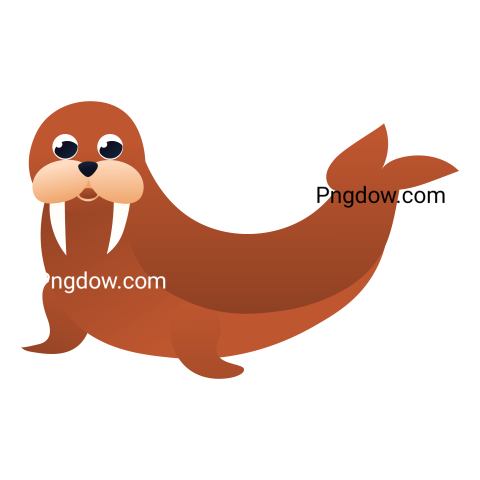 Walrus transparent background for free