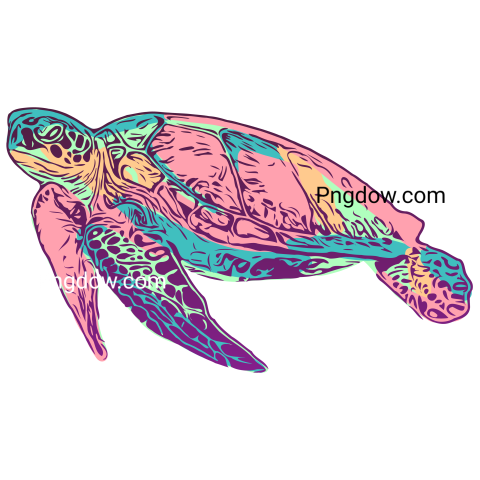 Neon Sea Turtle Vector Illustration